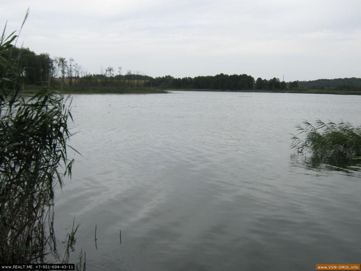Озеро Пенеснарь Смоленск. Озеро пенеснась Смоленск. Озеро Пениснарь Смоленская область. Озеро Пенеснарь Смоленск пляжи. 1 озеро в рублях