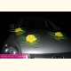 цветы на присосках  прокат 800 рублей вместе с кольцами на крышу машины